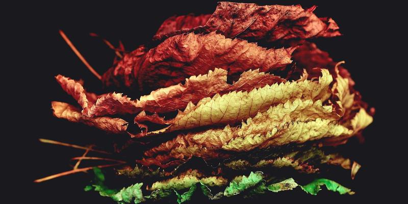 婚恋交友中的隐私守护指南：如何在约会中安全展示自我