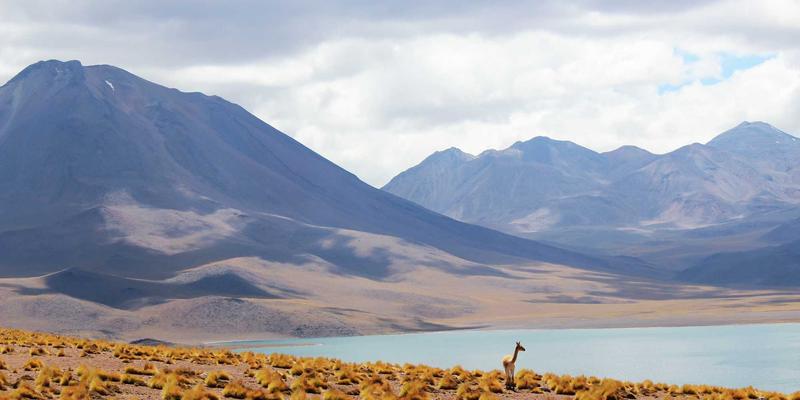 婚恋交友初期如何巧妙了解对方三观？从蒸汽波音乐到爱情观的深度对话