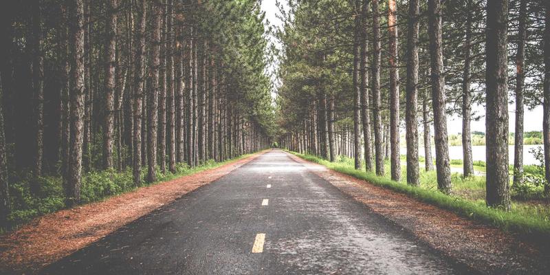 婚恋交友平台用户画像全解析：如何借助关系指导与情感咨询，精准选择你的缘分渠道