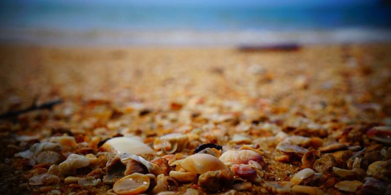 爱情与约会新视角：基于MBTI人格类型的婚恋交友匹配策略与沟通技巧