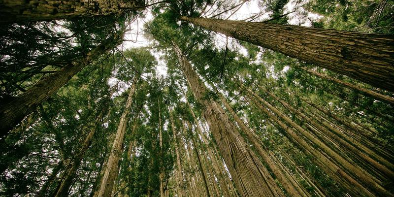 爱情关系指导：掌握约会中的自我展示艺术，打造真实又迷人的个人资料