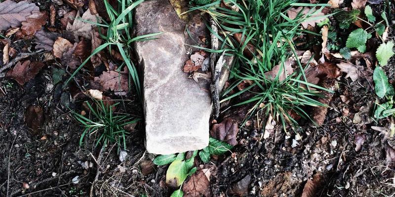 高净值人群婚恋交友策略：在蒸汽波式约会中平衡财富管理与情感关系