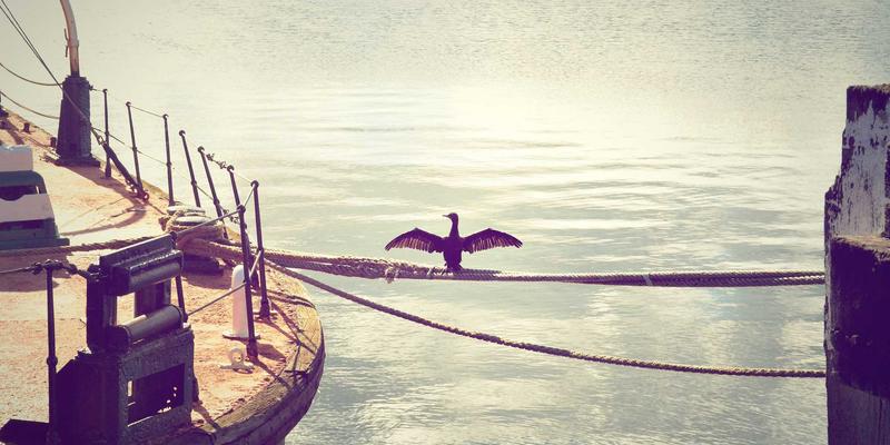 蒸汽波滤镜下的爱情：当复古未来主义遇见现代情感咨询